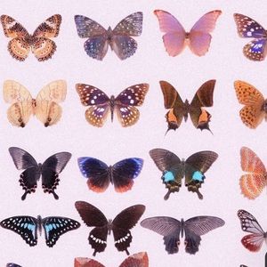 QUESTION FOR FOLLOWERS THAT SEE THIS!! *NOT4SALE